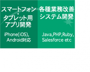 各種業務システムの開発1